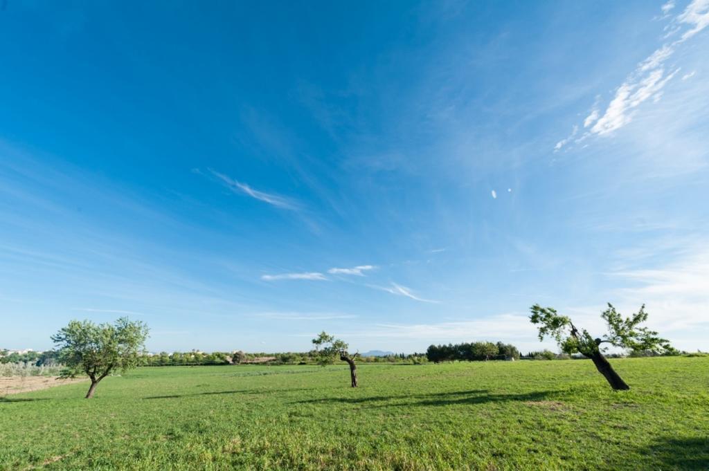 Granja Villa *