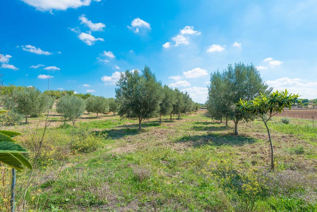 Granja Inca (Mallorca)