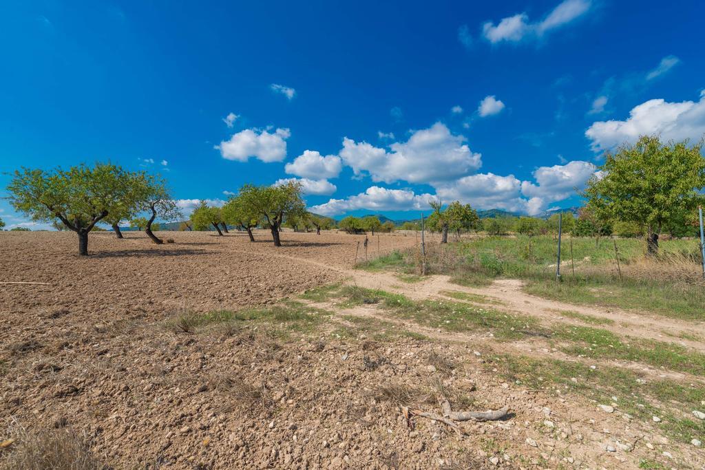 Granja * Inca (Mallorca)