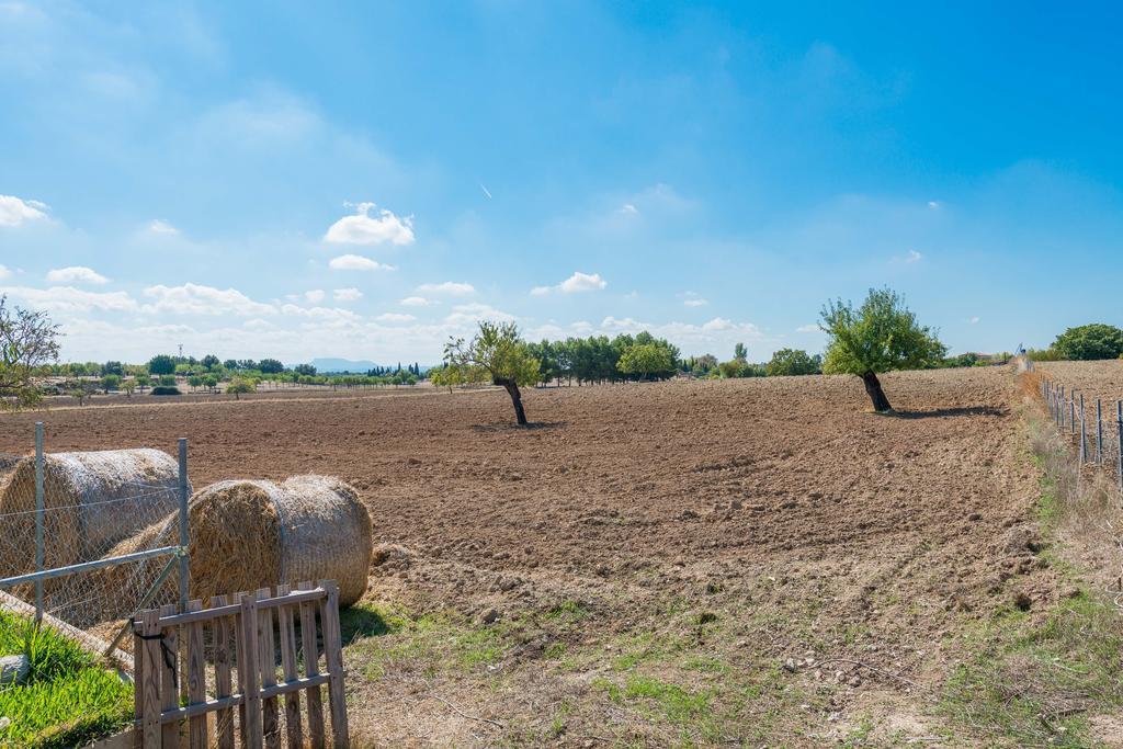 Granja *